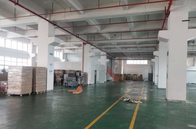 企石镇中心一楼一整层2380平米厂房出租带豪华装修办公室