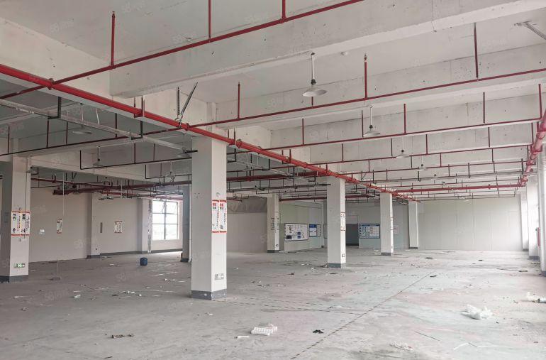 企石镇原房东楼上带豪华装修1780平米出租2部客梯一部5吨货