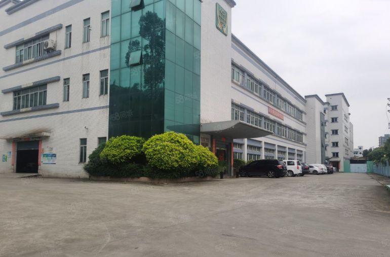 企石原房东花园式超大空地独院9000平方三层厂房出租