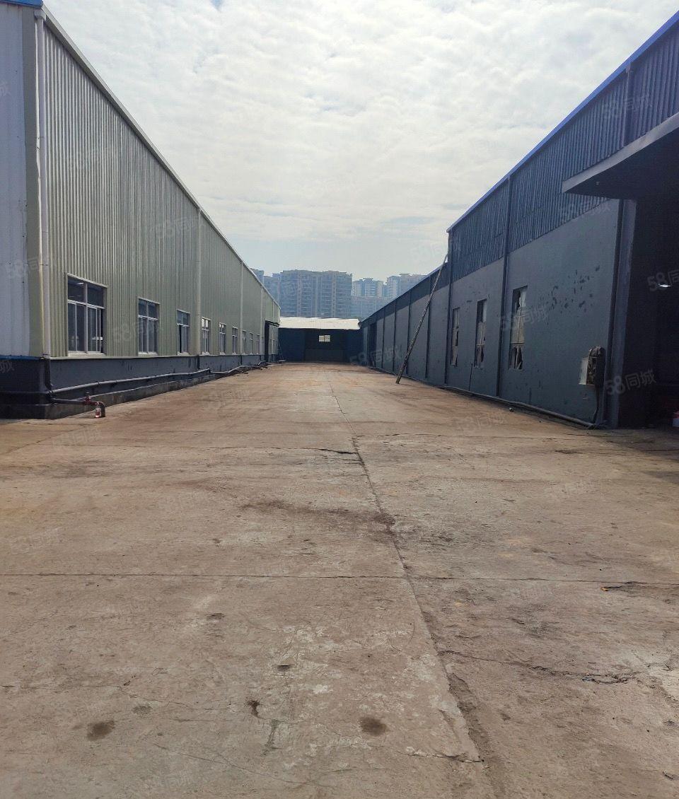 企石镇新出滴水9米独院钢构厂房8000平米