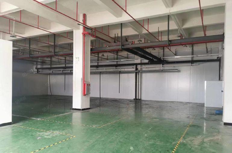 企石镇原房东厂房出租一楼600平米，带办公室水电，行车地坪漆