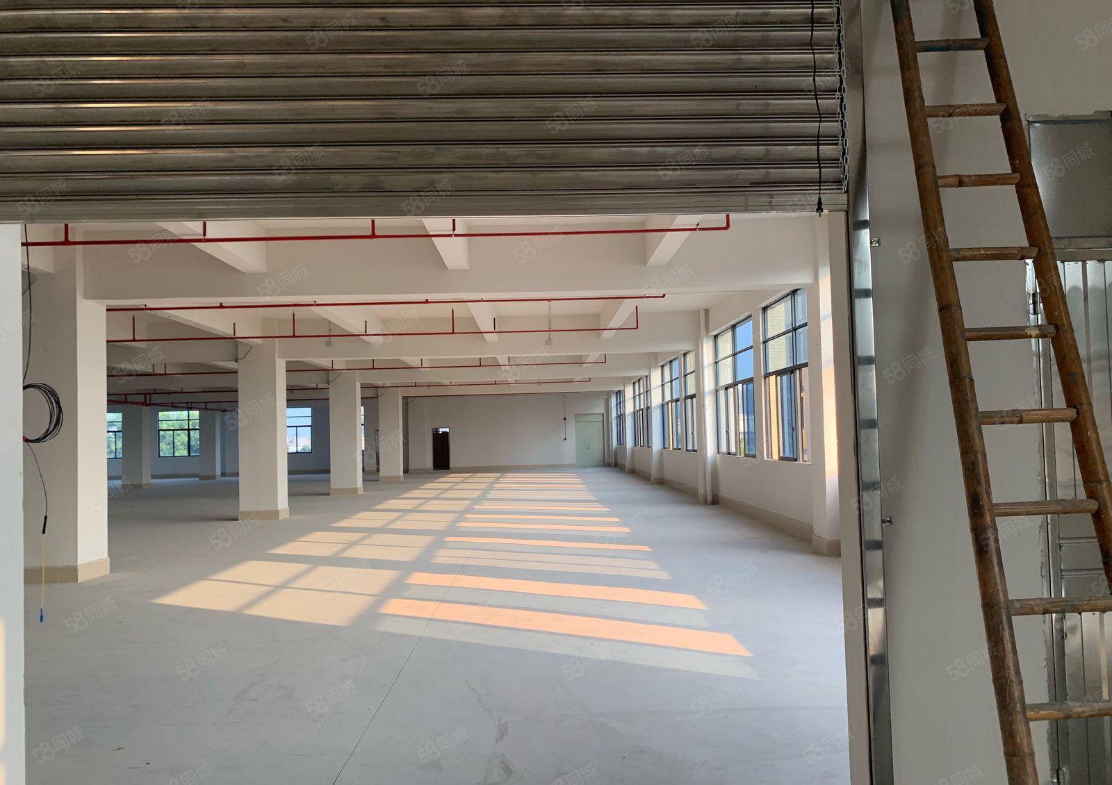 企石全新一楼6米高独院厂房5层10000平米厂房出租