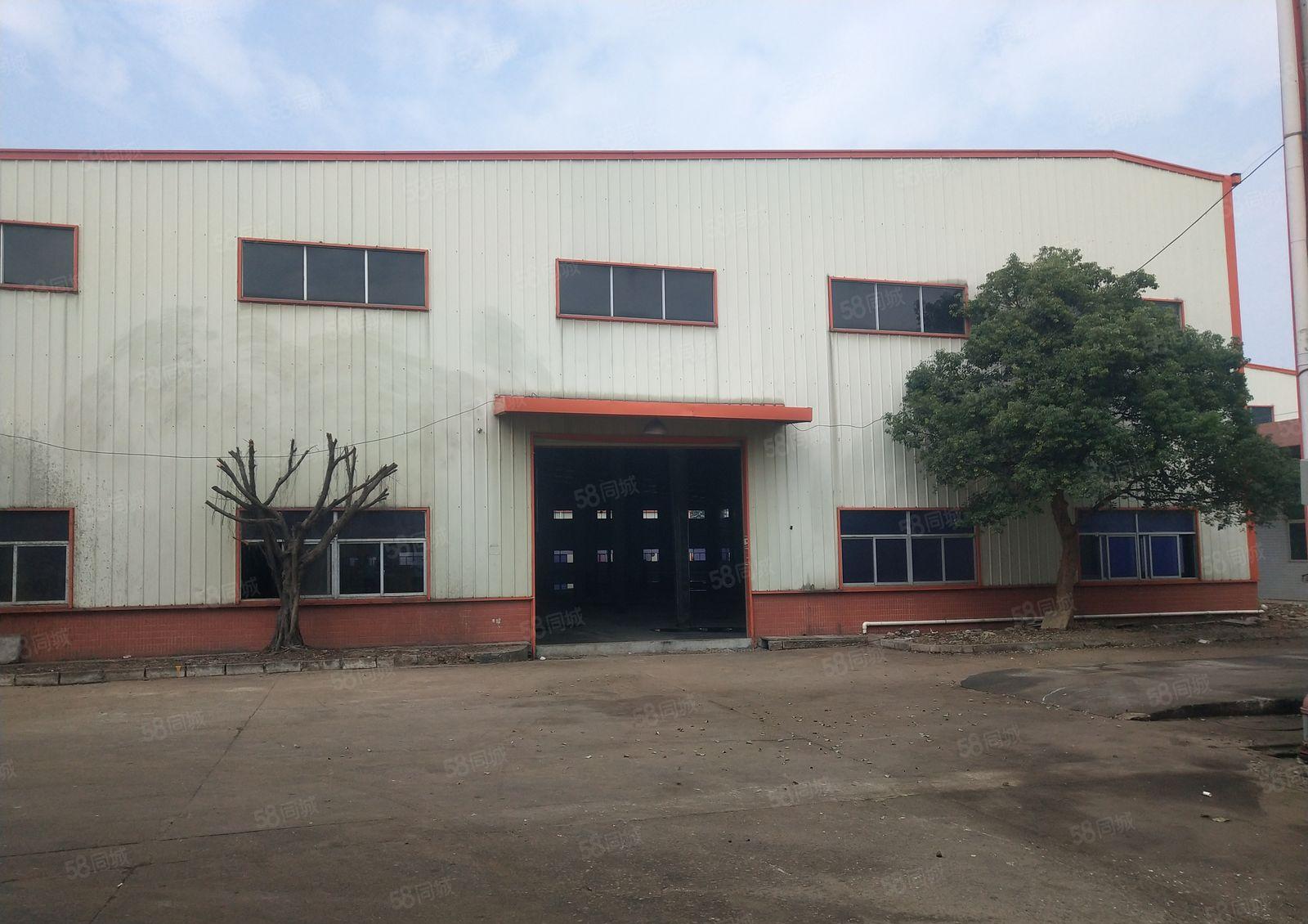 独院单一层钢构10米大小可分 电大不限电 主路旁拖头能掉头