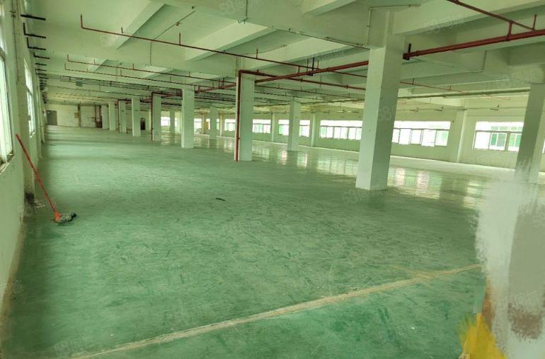 企石镇原房东，厂房2楼3楼，单层面积1800平，可分层出租