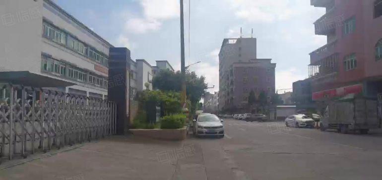 企石原房东花园式超大空地独院9000平方三层厂房出租