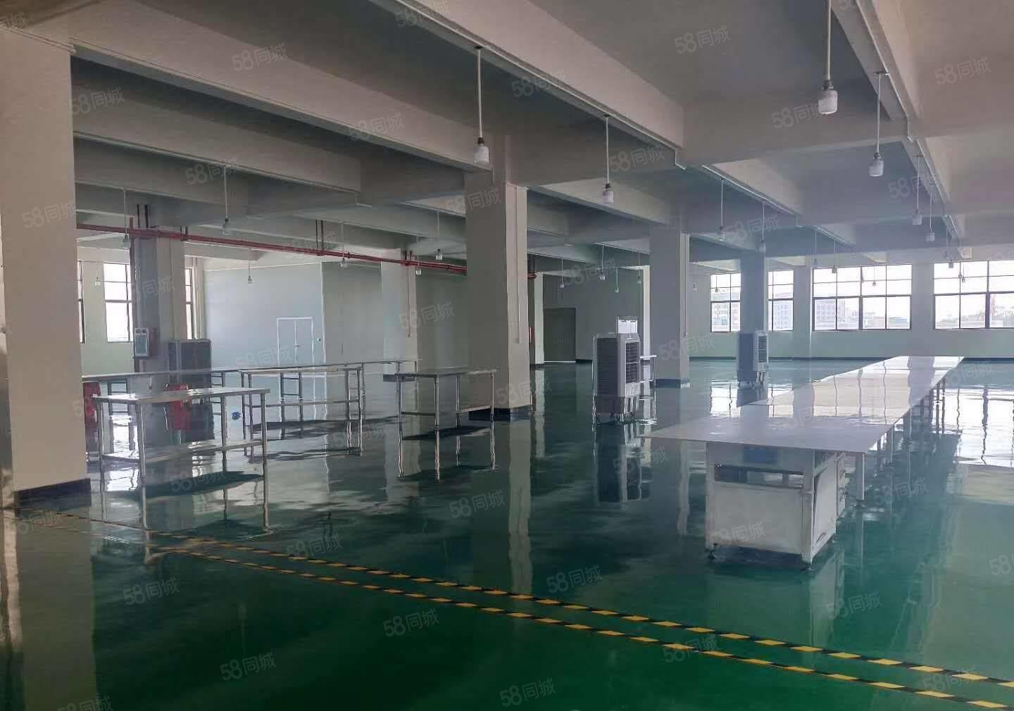 企石镇新出原房东超靓标准厂房实量面积5500平，超大空地