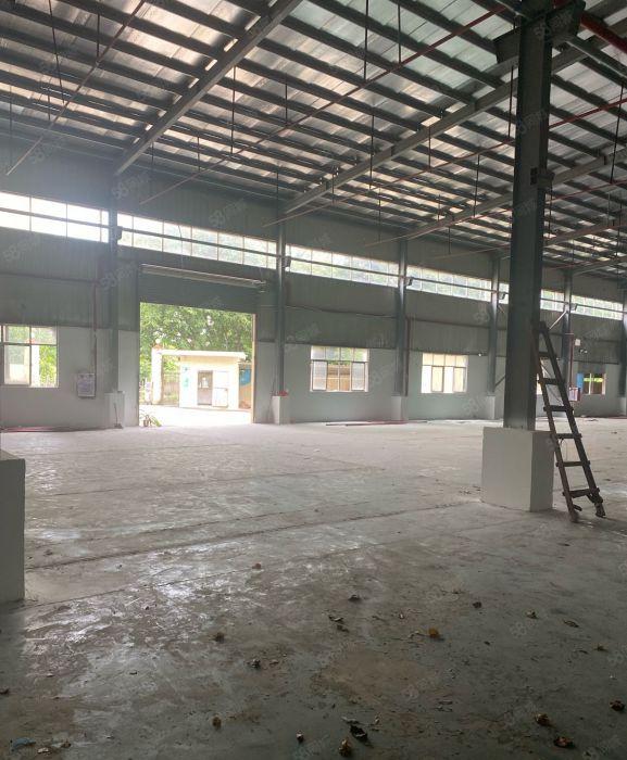 企石镇新出单一层小独院8米高2400平方米