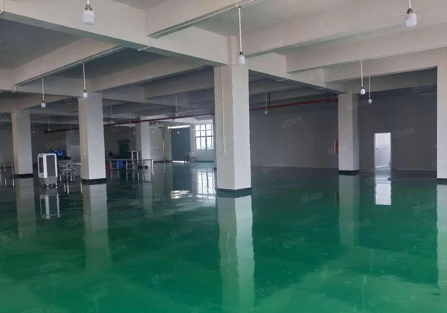 企石镇新出原房东超靓标准厂房实量面积5500平，超大空地