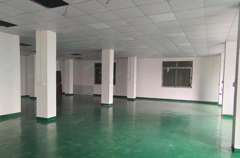 企石镇铁炉坑新出标准厂房出租二楼800平方精装修办公室地坪漆