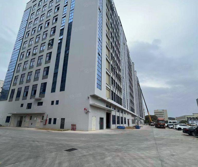 企石新出原房东 全新厂房出租 园区空地大 随时可看 仅租8块