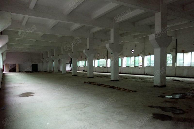 八元起租 横沥镇原房东全新独院厂房按需出租