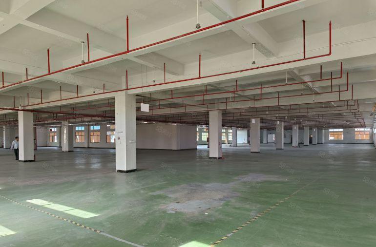 企石镇原房东标准独院带红本楼层低一楼6.5米空地大快速路旁