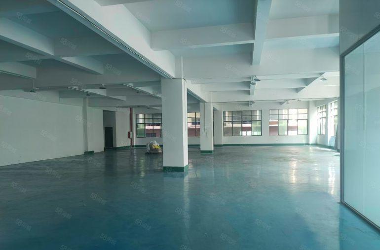 企石镇霞朗原房东标准厂房独院3500平方低价出租