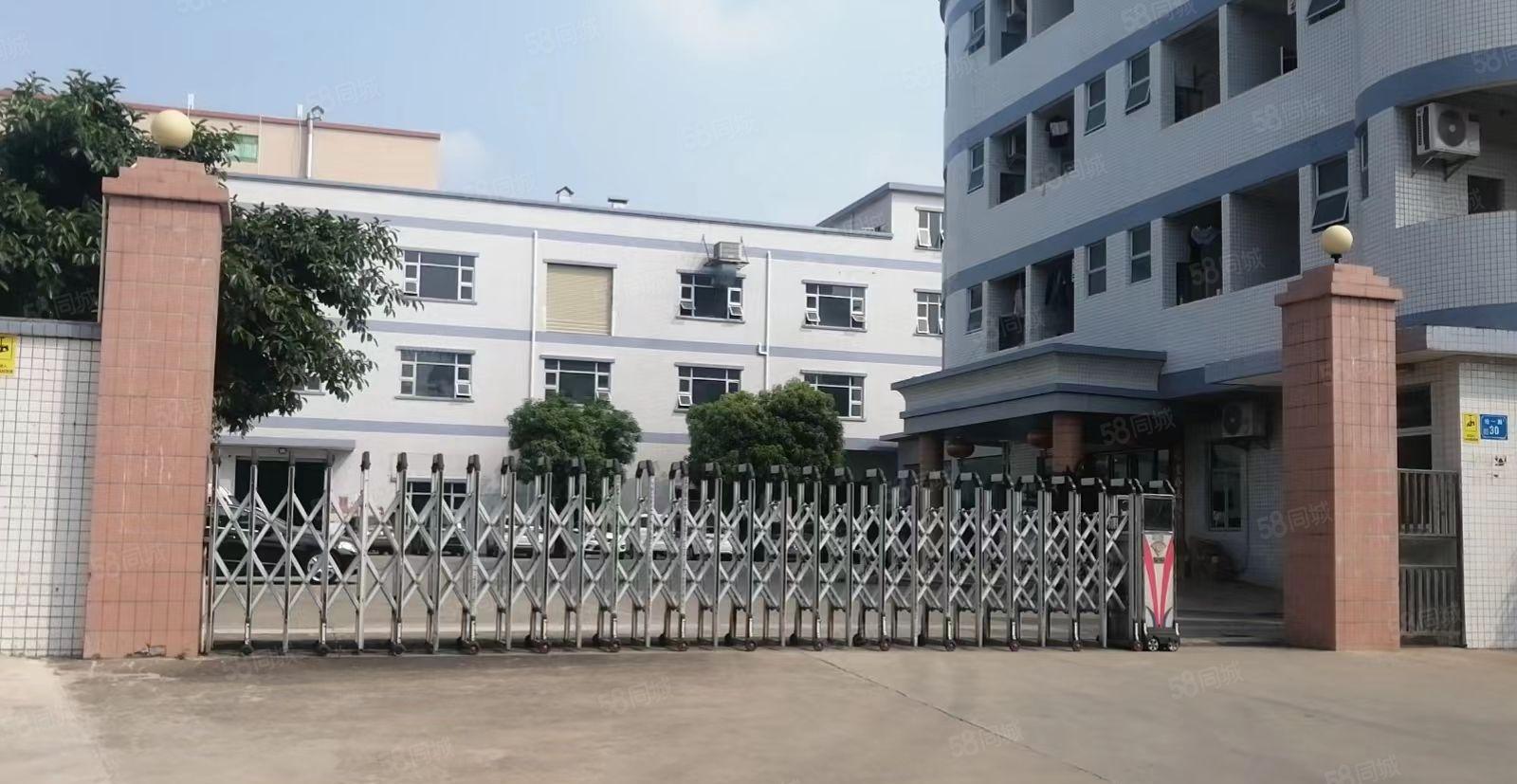 企石镇原房东独院标准厂房，形象非常漂亮。