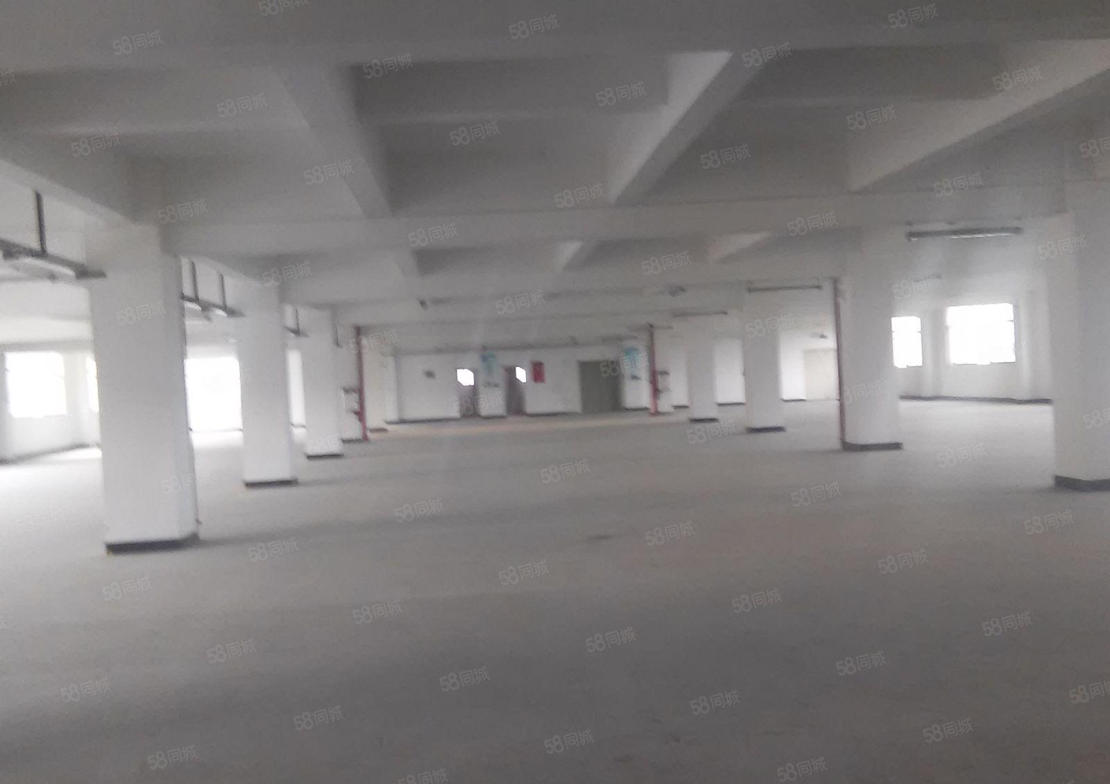 八元起租 横沥镇原房东全新独院厂房按需出租