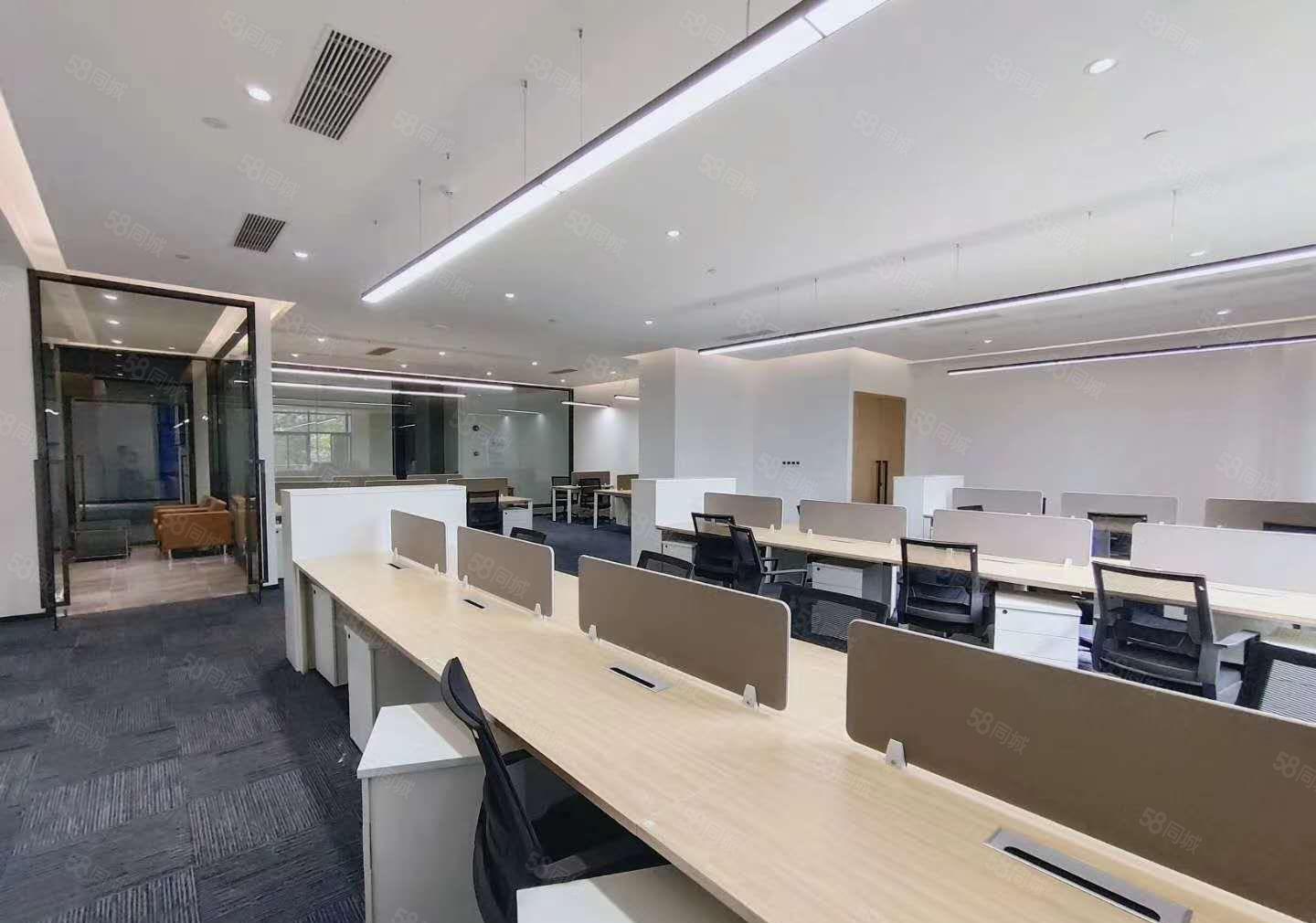 原房东！企石全新独门独院标准出租，证件齐全，可办环评 可分租