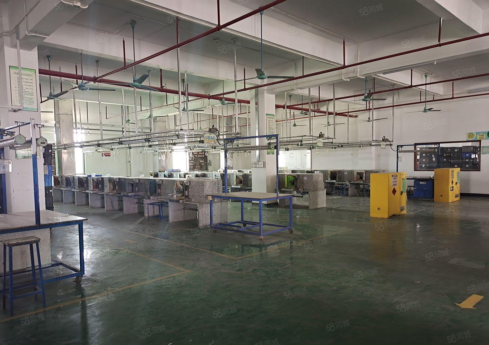 八元起租 横沥镇原房东全新独院厂房按需出租