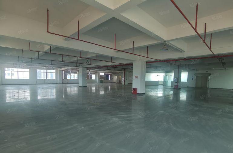 企石镇原房东楼上厂房出租1500平米，带现成装修水电办公室