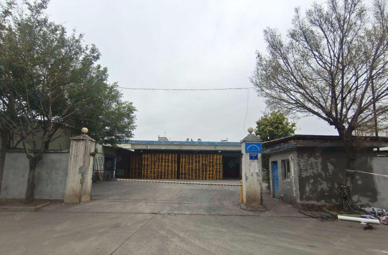 企石独院厂房，钢构3000平，价格12元，高度7米，形象好