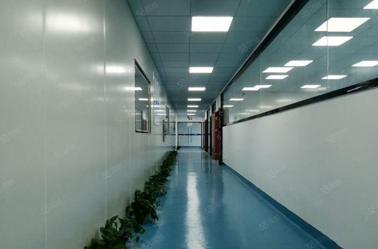 8元价格可谈原房东企石桥头1000平方精装修厂房出租可分租