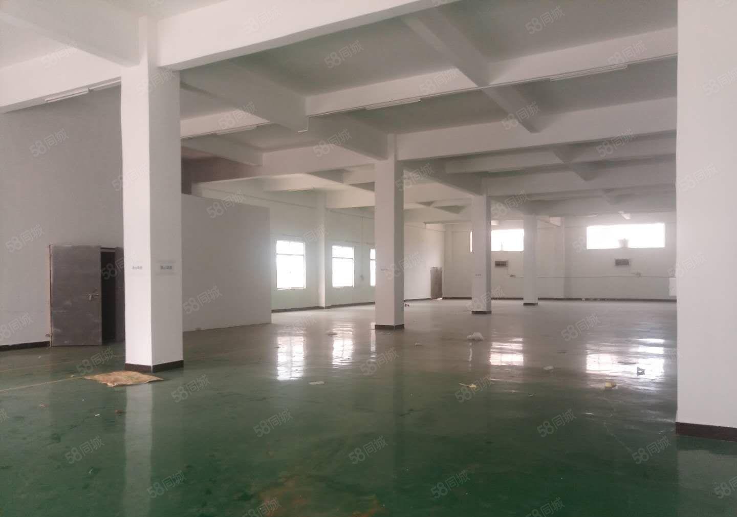 企石镇原房东标准独院厂房，可分租，位于成熟工业区，厂房规正