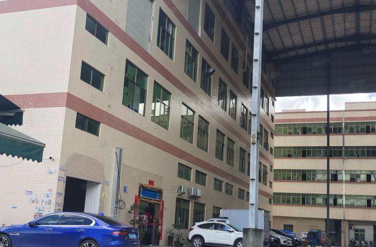 厂房出租企石工业区新出精装修厂房一楼出租