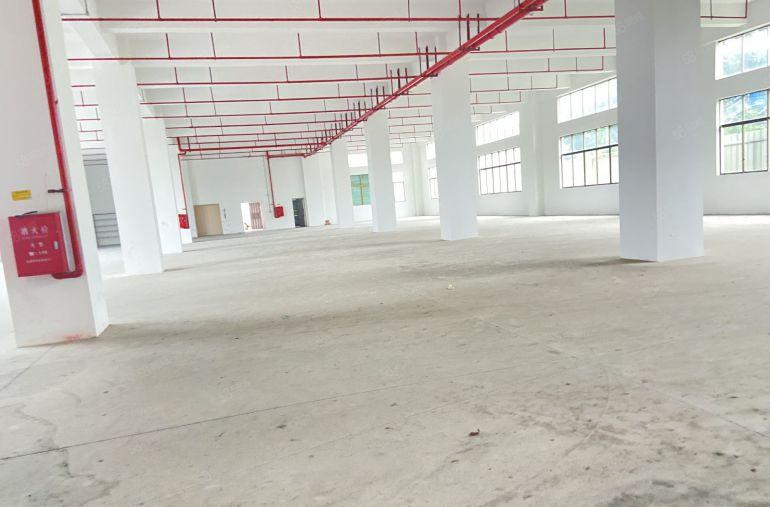 企石原房东全新标准一楼适合电子五金模具注塑CNC等等