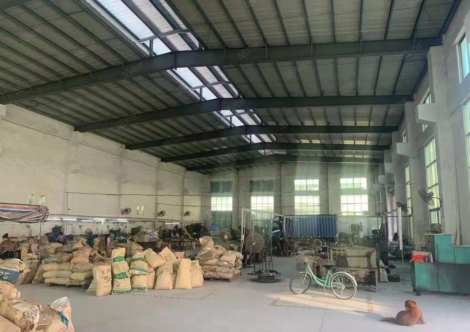 原房东独院厂房水电过户包办环评单一层滴水9米