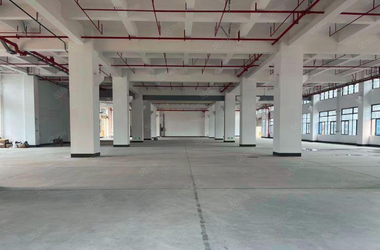 企石东山原房东独院标准厂房三层5600方低价出租