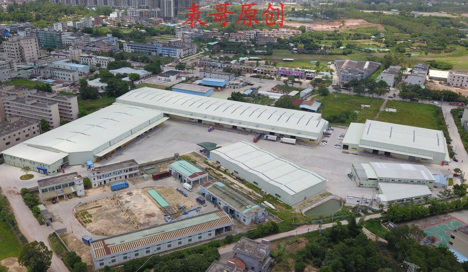 红本双证原房东单一层独院厂房出租