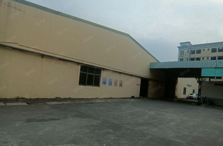 近大朗企石镇单一层钢构出租2600平方厂房