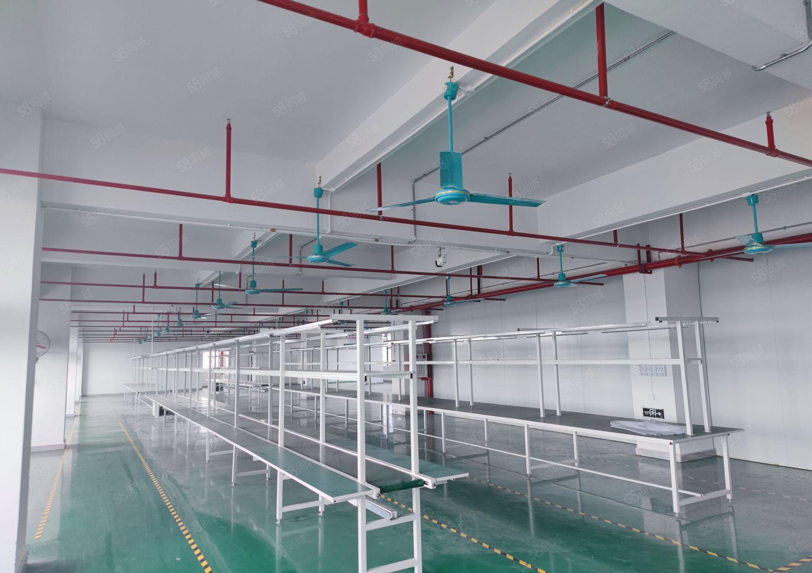 企石镇杨屋楼上豪华装修1380平方带现成生产线办公室即刻生产