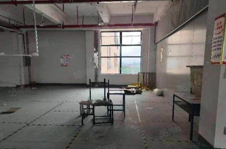 原房东实际面积厂房出租形象好气质佳五吨超大货梯精装修水电齐全