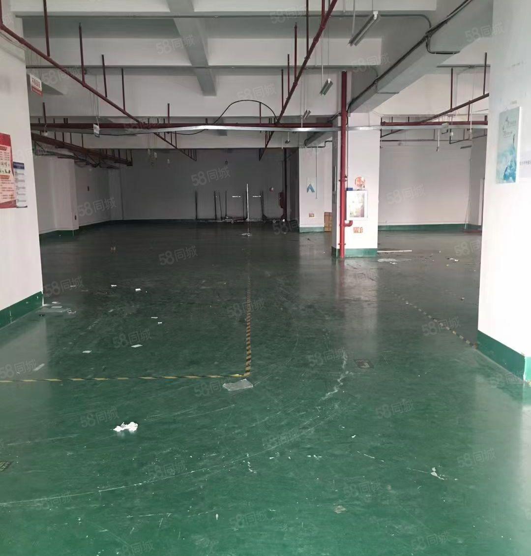 企石铁炉坑楼上带装修厂房1300平米