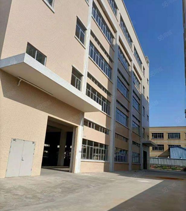 5元企石全新天然气，层高5.5米厂房出租