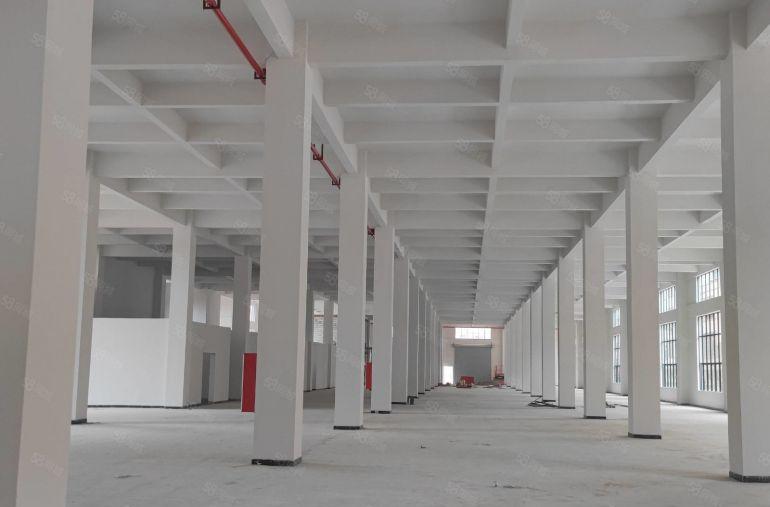 东莞新出原房东超长125米两层厂房一楼8米二楼6米近东部快速