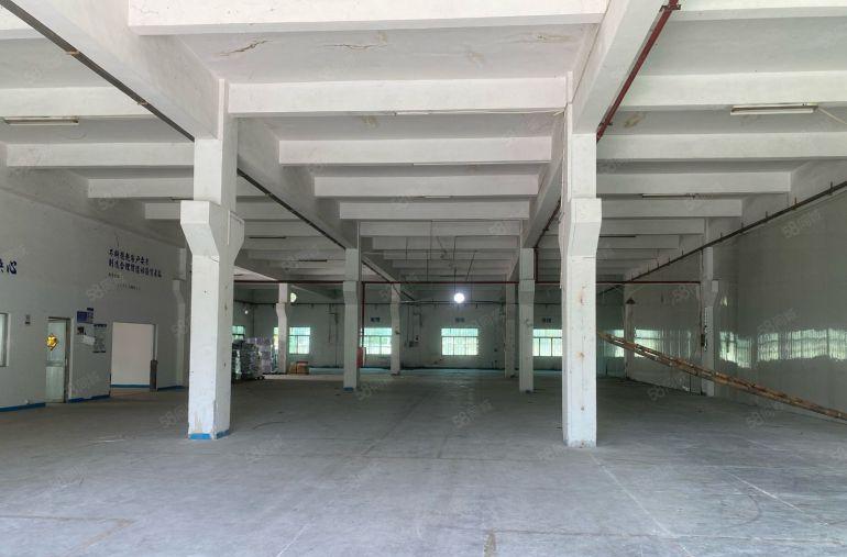 企石镇6米高标准一楼1000平方米，带办公室装修