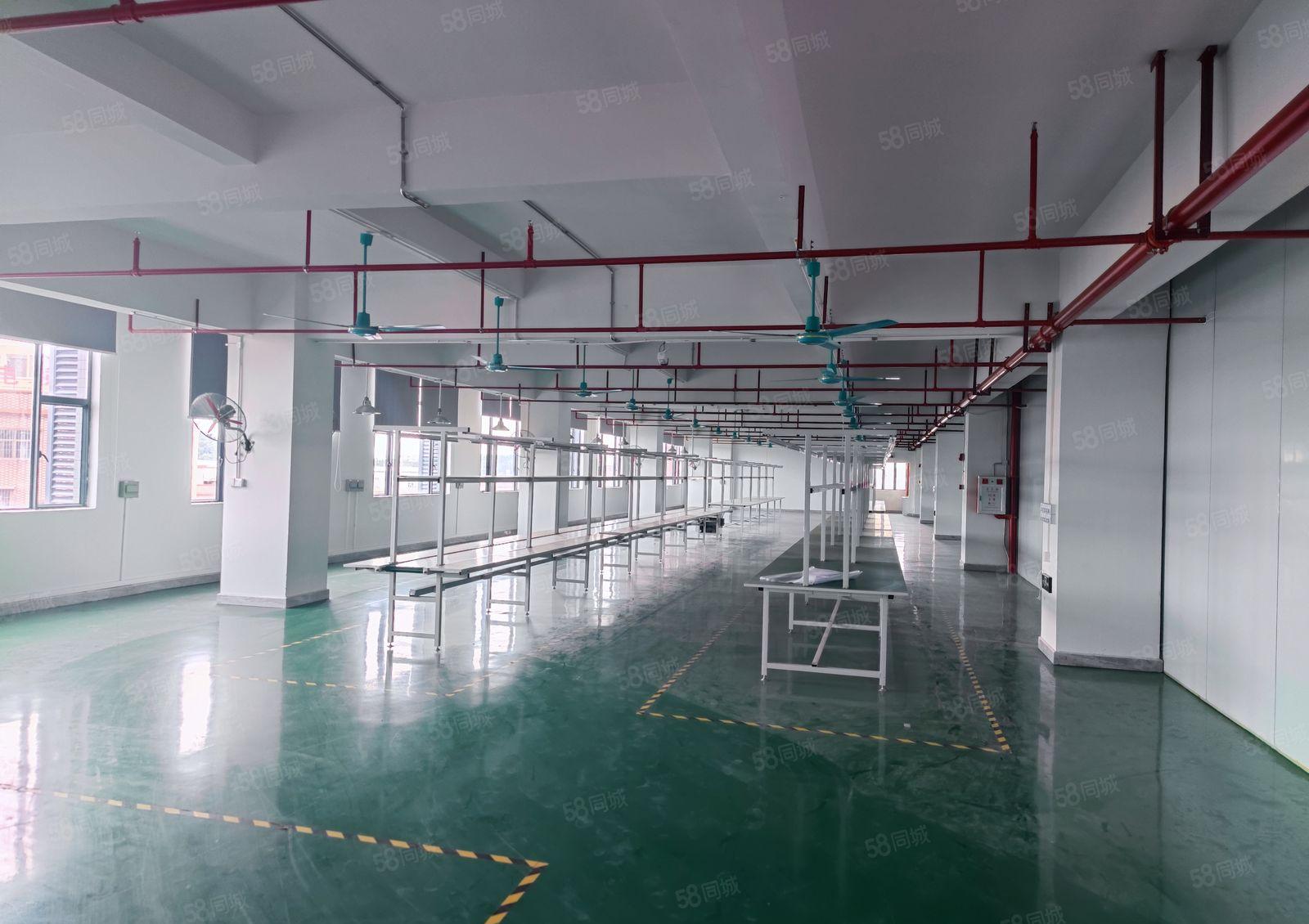 企石镇杨屋楼上豪华装修1380平方带现成生产线办公室即刻生产