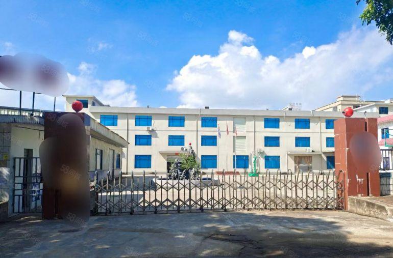 企石新出标准独院9800整租价格实惠可谈可办环评