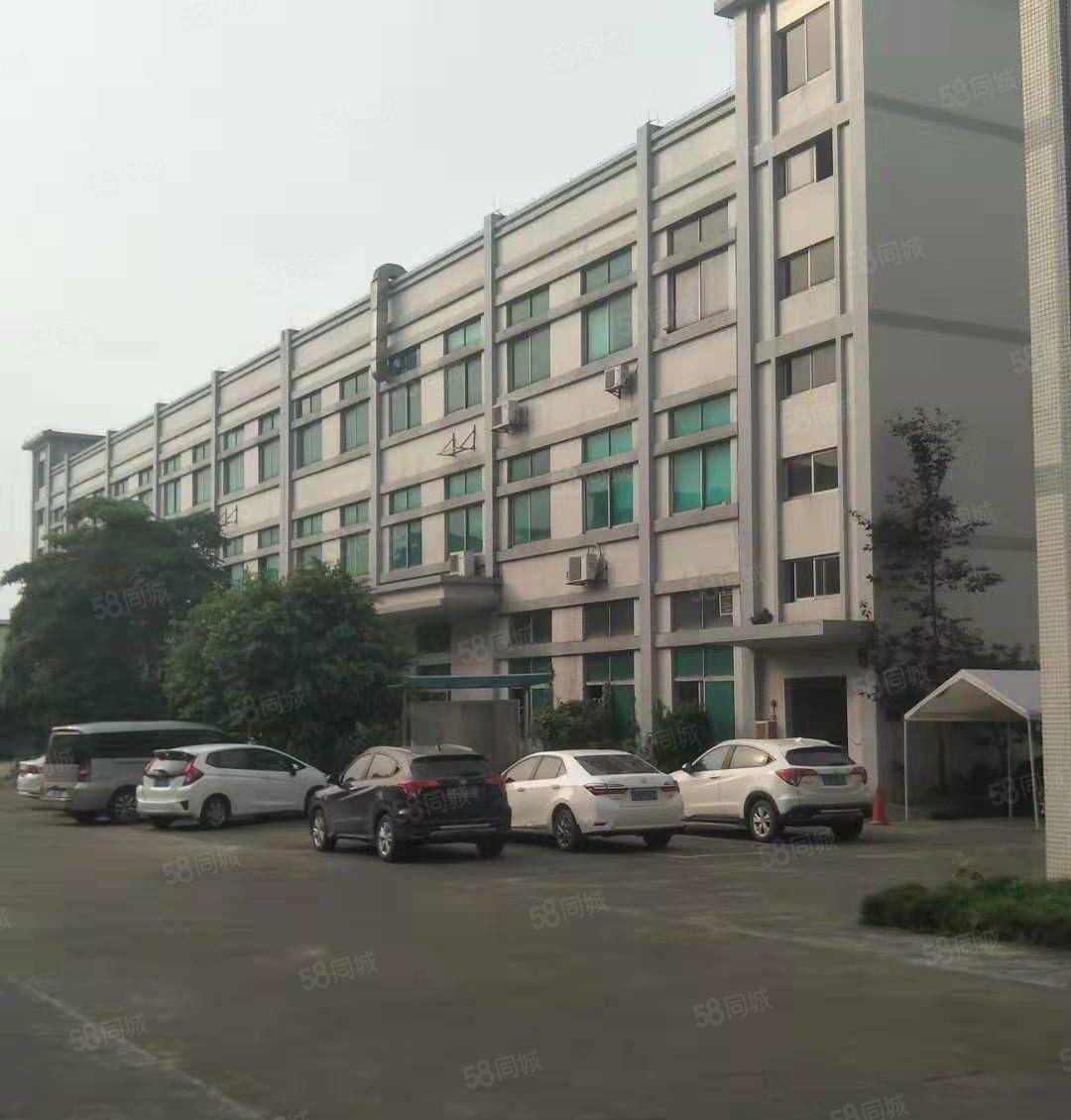 企石镇新出原房东超靓标准厂房实量面积5500平，超大空地