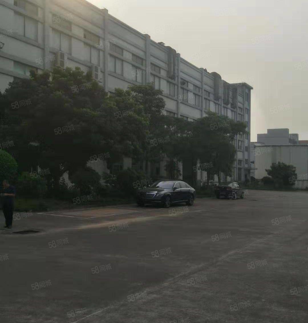 企石镇新出原房东超靓标准厂房实量面积5500平，超大空地