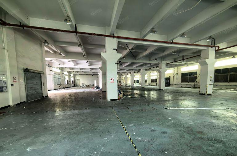 企石镇标准厂房12层3980方带牛角6米高