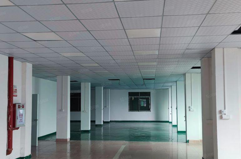 企石镇铁炉坑新出标准厂房出租二楼800平方精装修办公室地坪漆