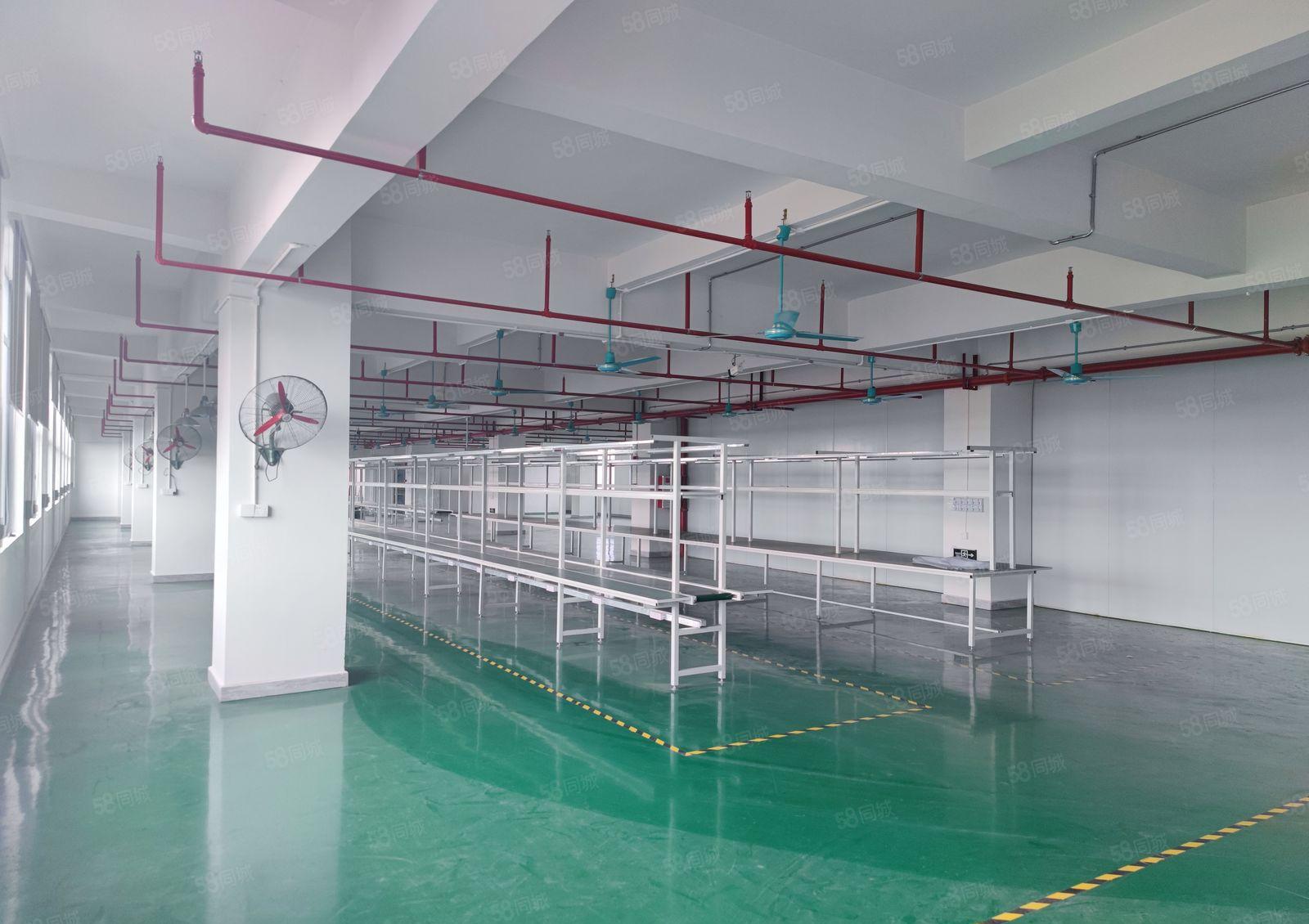 企石镇杨屋楼上豪华装修1380平方带现成生产线办公室即刻生产