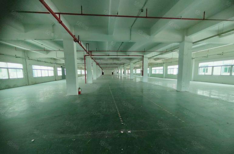 企石镇原房东，厂房2楼3楼，单层面积1800平，可分层出租