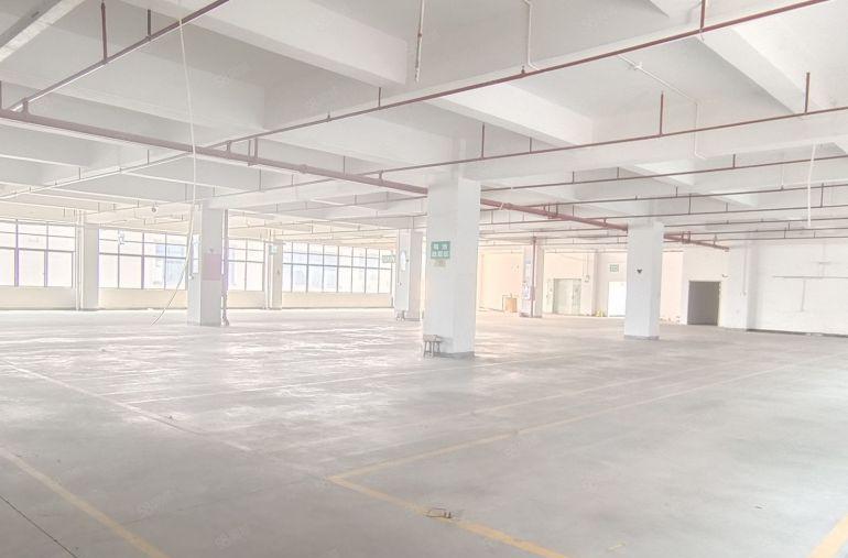 精装修办公室厂房出租工业区厂房