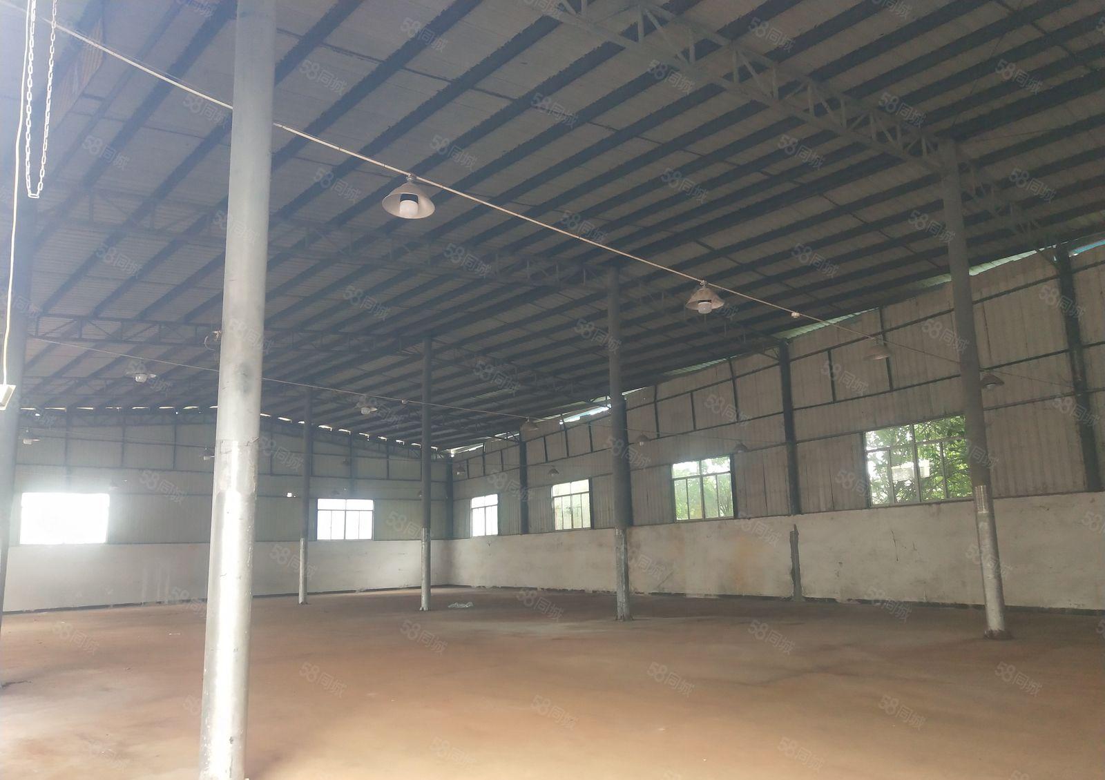 独院单一层钢构10米大小可分 电大不限电 主路旁拖头能掉头