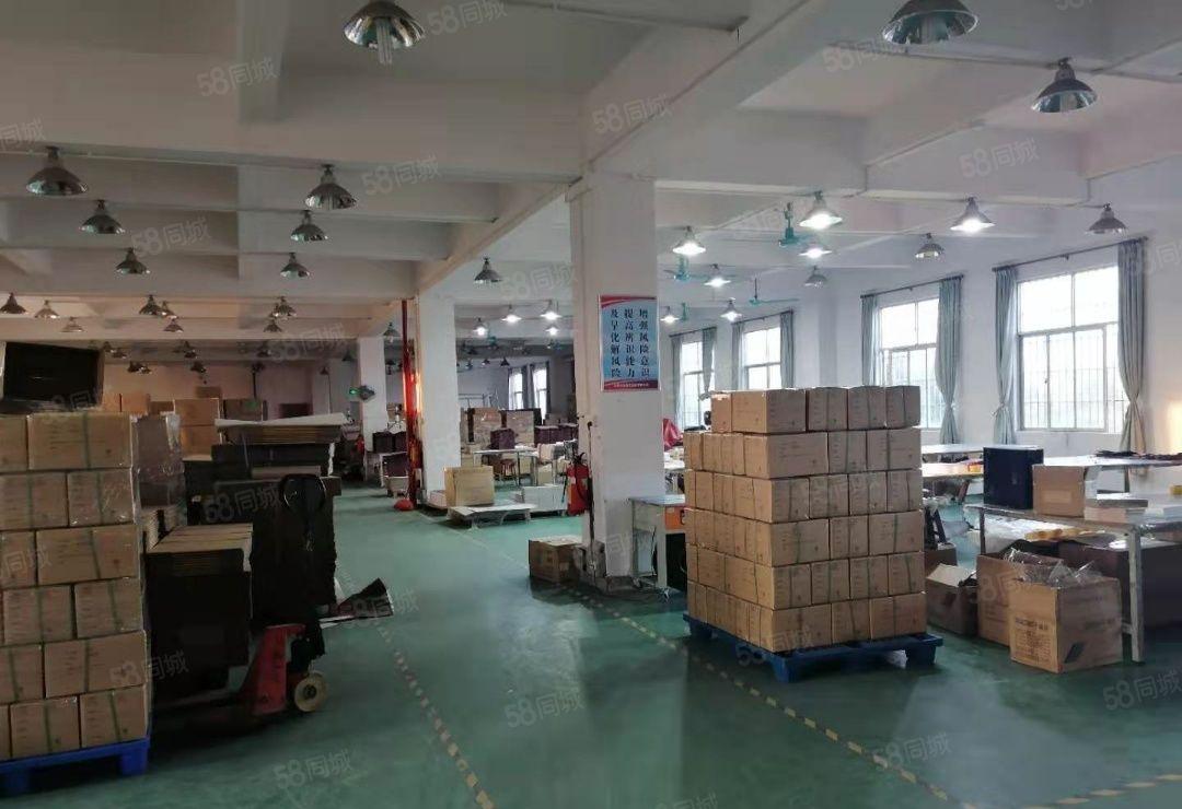 企石镇原房东标准独门独院厂房5000平（国有红本）带精装修