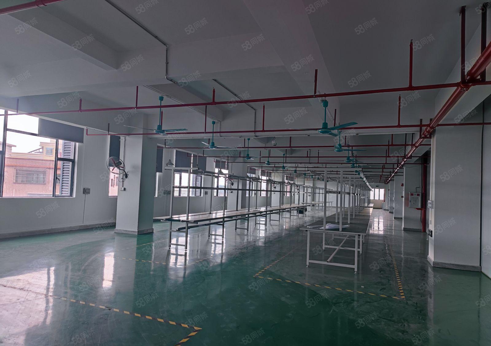 企石镇杨屋楼上豪华装修1380平方带现成生产线办公室即刻生产