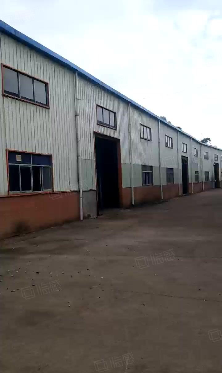 独院单一层钢构10米大小可分 电大不限电 主路旁拖头能掉头